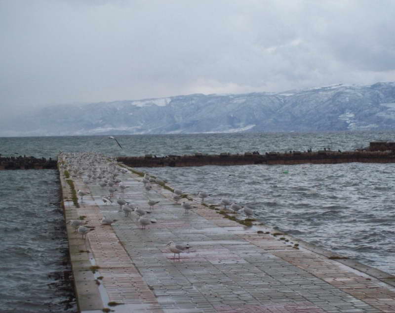 Охридско и Дојранско Езеро над дозволениот максимум