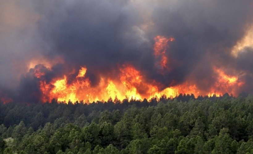 Голем пожар ја зафати Преспа, гори националниот парк Галичица