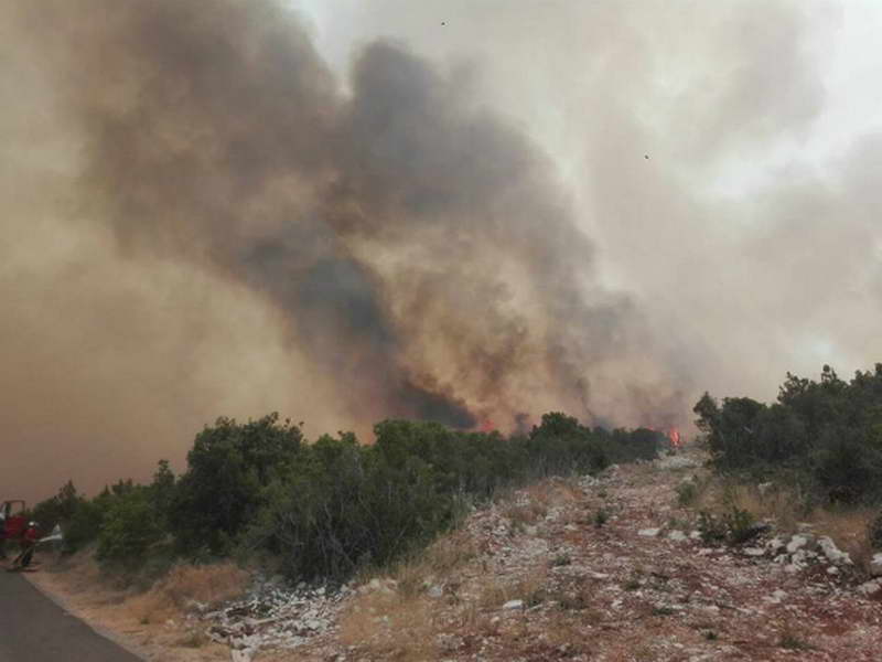 Голем пожар во Грција, евакуирани се населени места, ангажирани се авиони и хеликоптери