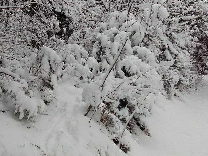 После Словенија, снег падна и во Хрватска