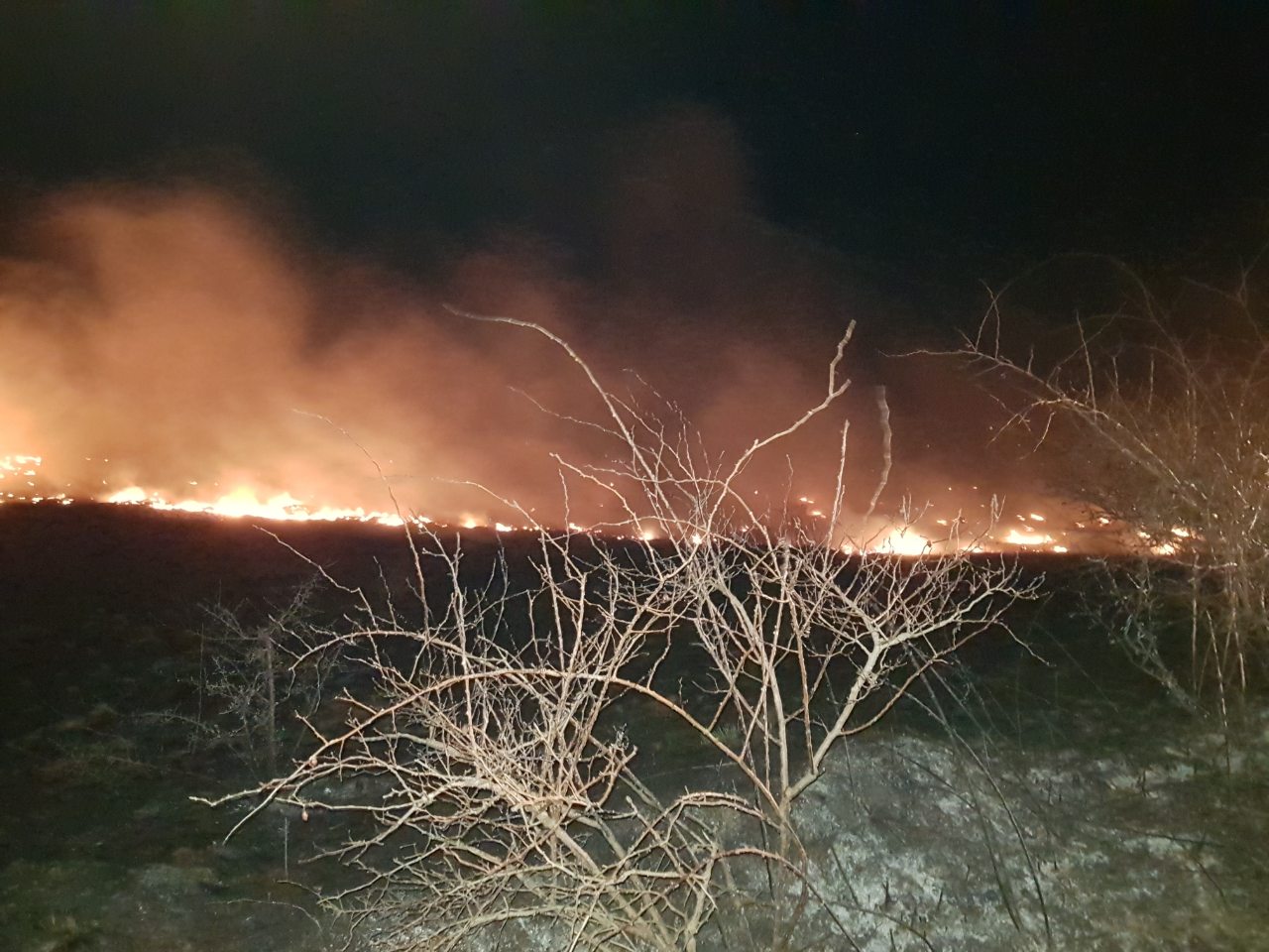 Заради пожар покрај патот, во прекин сообраќајот на патниот правец Прилеп-Градско