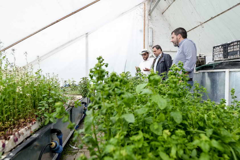 Анѓушев и Деспотовски во посета на „Аквапоника“ - микрокомпанија која е пример за примена на иновации во земјоделството