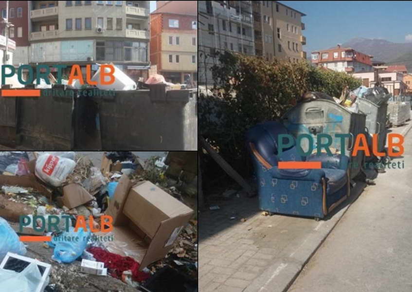 Општина Тетово вели дека искористила 122.000 евра од ИПА-фондовите за почист град