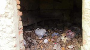 Исчистено ѓубрето од напуштениот објект во непосредна близина на прилепскиот Дневен центар за лица со церебрална парализа