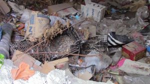 Исчистено ѓубрето од напуштениот објект во непосредна близина на прилепскиот Дневен центар за лица со церебрална парализа