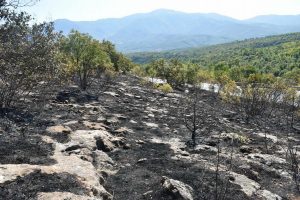 Пожарите кои вчера избувнаа на територијата на општина Прилеп ставени под контрола