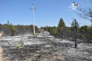 Пожарите кои вчера избувнаа на територијата на општина Прилеп ставени под контрола