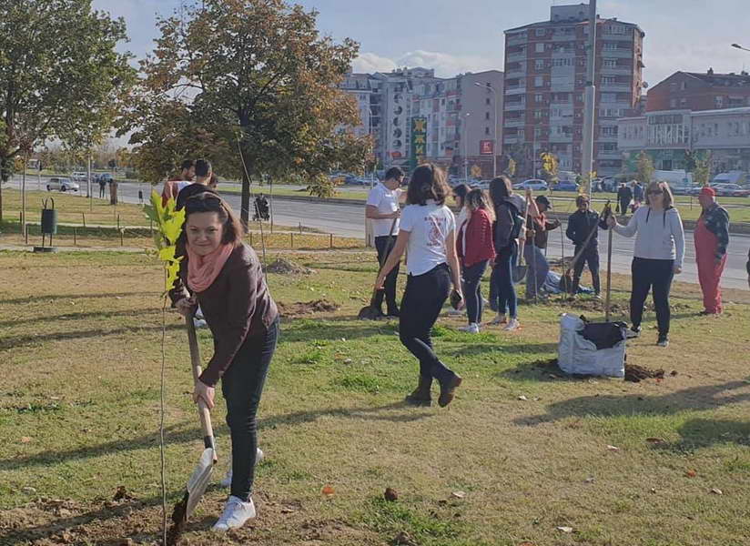 Акција за садење дрвја во Ново Лисиче