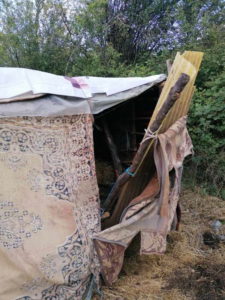 Откриени кампови, одземени возила, притворени 3 лица – акција на ОВР Прилеп за откривање дрвокрадци