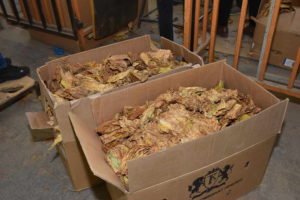 Започна откупот на тутун, годинешната реколта е „тешка“ 23.000 тони