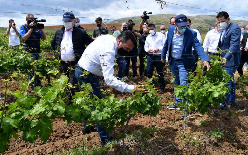 Заев: Инвестицијата на „М6 Аграр“ и „Тиквеш“ во нови лозови насади на 120 хектари создава услови и за производство на квалитетни македонски вина за освојување на светските пазари