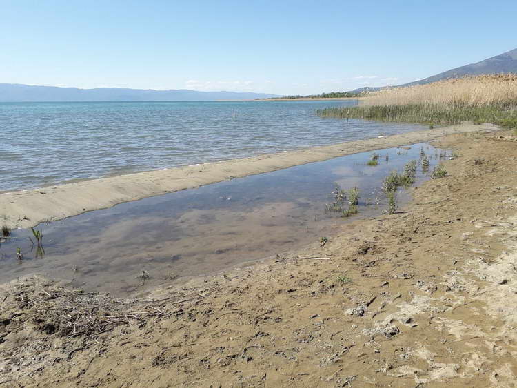 Македонија, Албанија и Грција заеднички ќе бараат решение за нискиот водостој на Преспанското езеро