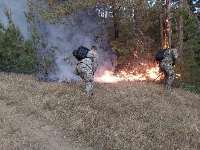 Армијата дејствува со војници и хеликоптери за гаснење на пожарите
