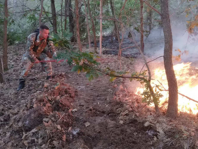 Приведен дебарчанец осомничен за подметнување шумски пожар