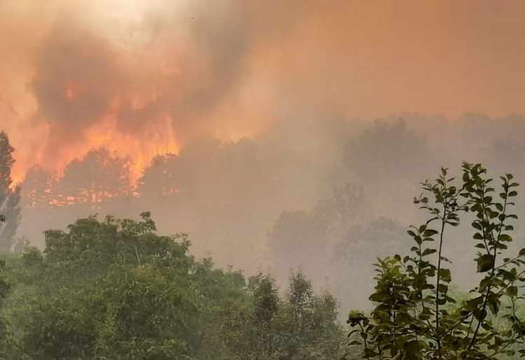 Изгаснат пожарот кај делчевско Разловци, Општината апелира на поголема одговорност и заштита на шумите од пожари
