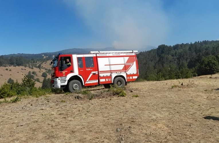 Локализиран пожарот во Горно Мелничари, кривична пријава за 2 лица