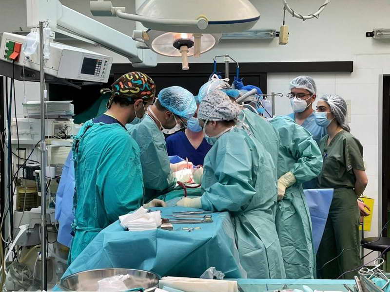 МЗ: Во тек е трансплантација на срце и бубрези од починат донор на клиниките за Кардиохирургија и Урологија