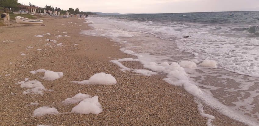 Глобално затоплување: Морска слуз се појавува на плажите во Халкидики
