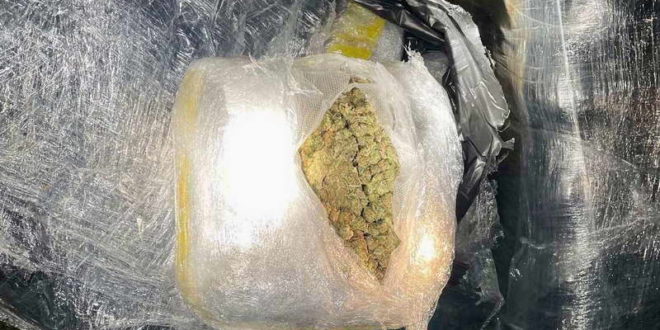 Во дебарско пронајдена марихуана во вредност од над 500.000 евра