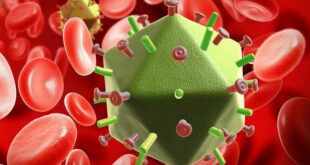 40 години ХИВ/СИДА: Хронологија на една болест
