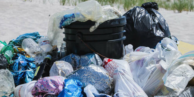Нуредини: Целта на новата цена на пластичните кеси е зачувување на здравјето на луѓето и околината