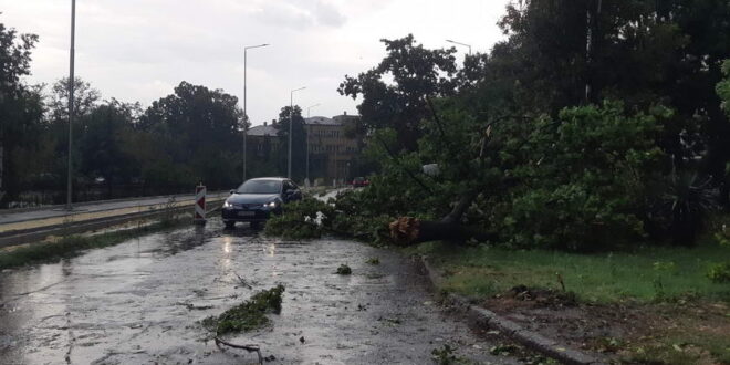 Невреме попладнево во Скопје, откорнати дрвја и поплавени улици [фото]