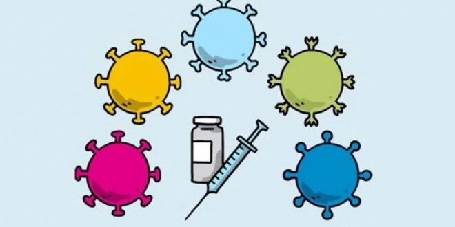 Истражување за временските услови правено пред пандемијата, злоупотребено да се нападнат вакцините