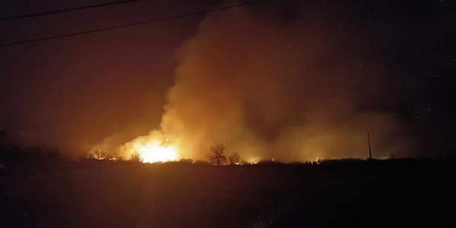 Изгоре голема површина на трска во Охрид, пожарникарите бараат санкции за сторителите