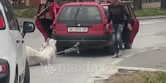 Жална Македонија: Коњ врзан и влечен од автомобил