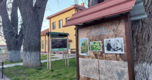Орев стар 150 години до станицата во Демир Капија го следи развојот на Македонските железници