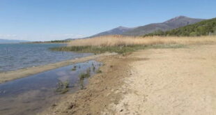 Нивото на Преспанското Езеро непрекинато опаѓа, бавно се спроведуваат мерките за заштита
