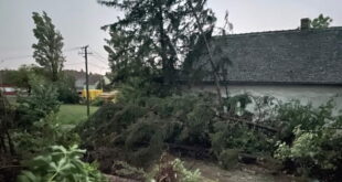 Една жртва во невремето во Србија, оштетени домови и откорнати дрвја во Хрватска и БиХ