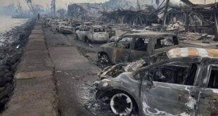 Шумските пожари на Хаваи одзедоа 93 животи, се трага по исчезнати лица