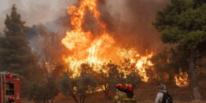 Шумските пожари во Грција деветти ден по ред горат