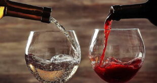 Владата ја усвои Националната стратегија за лозарство и винарство за зголемена конкурентност на пазарите во земјава и странство