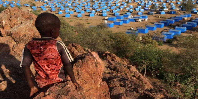 Лекари без граници: Во кампот Замзан во Судан на секои два часа умира дете