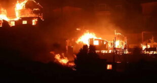 Смртоносни пожари во Чиле: Прогласена национална жалост