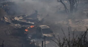Во шумски пожари во Чиле загинаа повеќе од 50 луѓе
