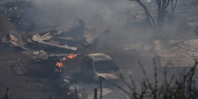 Во шумски пожари во Чиле загинаа повеќе од 50 луѓе
